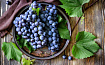 Виноград синий Молдова