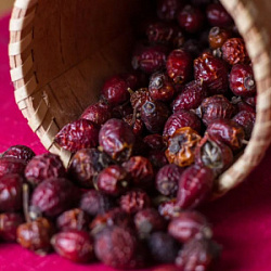 Шиповник горный дикорастущий суш.