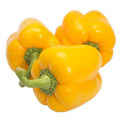 Перец болгарский желтый