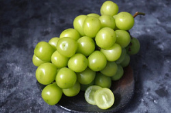 Виноград Шайн Мускатный