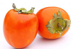 Хурма ШишБурун