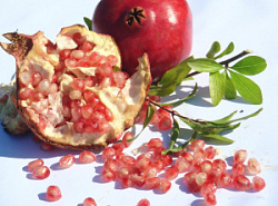 Гранат без косточек Гранат без косточек