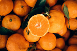 Мандарин Турция 